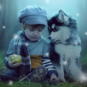 hoteles_permiten_animales_colombia_richmond_suites_hotel